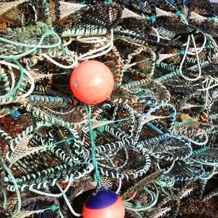 Horizon View Glanleam Road Knightstown Valentia Island County Kerry V23 W447 Ireland 5*