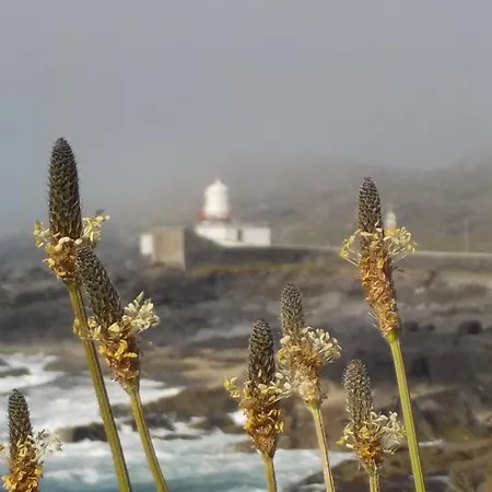 Horizon View Glanleam Road Knightstown Valentia Island County Kerry V23 W447 Ireland B&B Knights Town