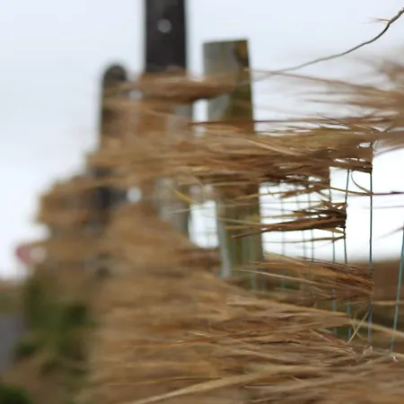 Horizon View Glanleam Road Knightstown Valentia Island County Kerry V23 W447 Ireland B&B 5*