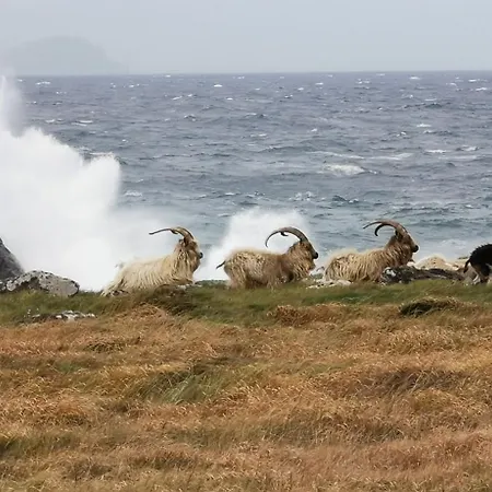 B&B Horizon View Glanleam Road Knightstown Valentia Island County Kerry V23 W447 Ireland 5*