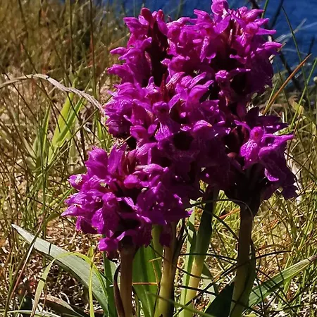 Horizon View Glanleam Road Knightstown Valentia Island County Kerry V23 W447 Ireland