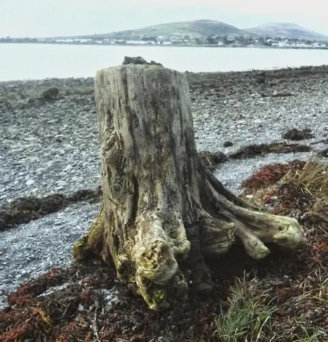 Horizon View Glanleam Road Knightstown Valentia Island County Kerry V23 W447 Ireland 5* Knights Town