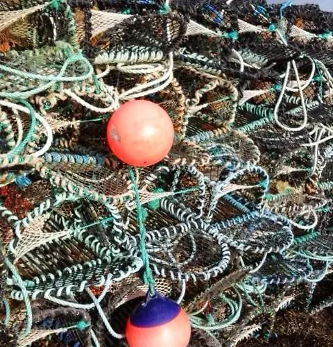 Horizon View Glanleam Road Knightstown Valentia Island County Kerry V23 W447 Ireland 5*