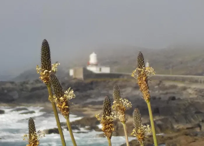 Horizon View Glanleam Road Knightstown Valentia Island County Kerry V23 W447 Ireland Frühstückspension Knights Town