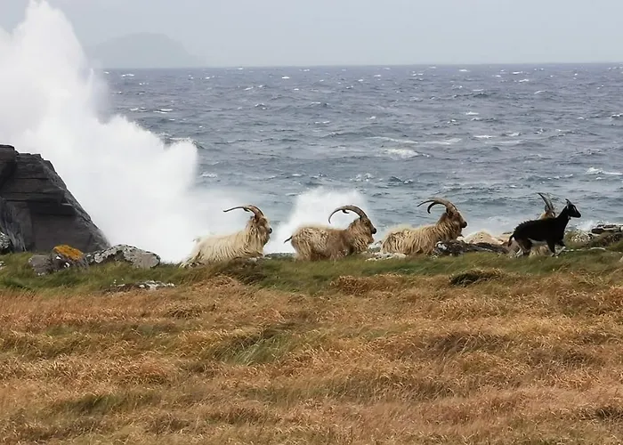 Frühstückspension Horizon View Glanleam Road Knightstown Valentia Island County Kerry V23 W447 Ireland 5*