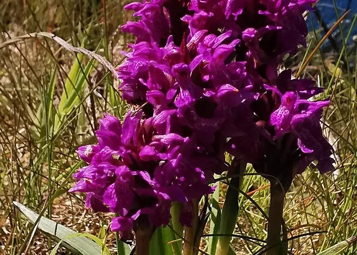 Horizon View Glanleam Road Knightstown Valentia Island County Kerry V23 W447 Ireland